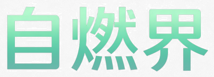 自燃界 · BurnX
